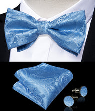 Light Blue Paisley Brace Clip-on Men's Suspender with Bow Tie Set