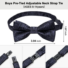 Iron Grey Paisley Silk Pre-Bow Tie