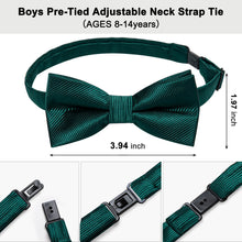 Sapphire Pine Green Striped Silk Pre-Bow Tie