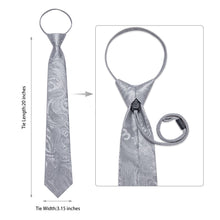 Silk Tie Coin Grey Paisley Lazy Easy-pull Mens Dress Tie Set