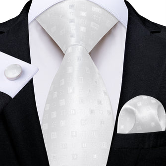 White Plaid Men's Tie Pocket Square Handkerchief Set