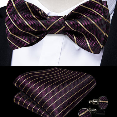 Novelty Purple Brown Self-Bowtie Pocket Square Cufflinks Set