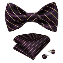 Novelty Purple Brown Self-Bowtie Pocket Square Cufflinks Set