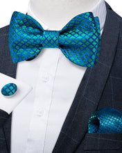 Novelty Green Plaid Brace Clip-on Men's Suspender with Bow Tie Set