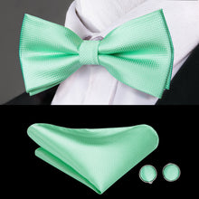 Pale Green Solid Bowtie Pocket Square Cufflinks Set (1925437685802)