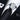 4PC Black Floral Men's Tie Handkerchief Cufflinks Accessory Set