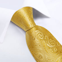Gold Paisley Men's Tie Handkerchief Cufflinks Clip Set