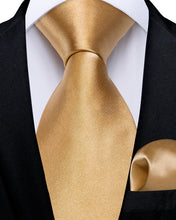 Champagne Tie Solid Men's Silk Tie