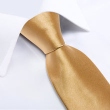 Champagne Tie Solid Men's Silk Tie