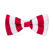 Red White Striped Bowtie Set for Mens Wedding Suit